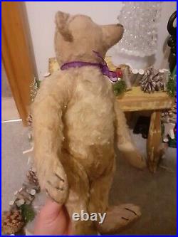 Antique Steiff early 1900s Rare Boot Button Eyes Long Nose German Teddy Bear Antique Steiff early 1900s Rare Boot Button Eyes Long Nose German Teddy Bear