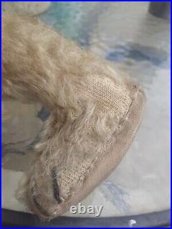 Antique Steiff early 1900s Rare Boot Button Eyes Long Nose German Teddy Bear Antique Steiff early 1900s Rare Boot Button Eyes Long Nose German Teddy Bear
