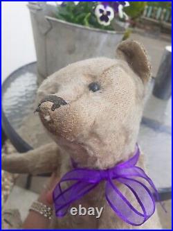 Antique Steiff early 1900s Rare Boot Button Eyes Long Nose German Teddy Bear Antique Steiff early 1900s Rare Boot Button Eyes Long Nose German Teddy Bear