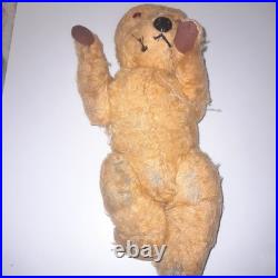 Antique Vintage Chiltern Teddy Bear See Description Early 1900s Rare Vintage