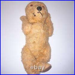 Antique Vintage Chiltern Teddy Bear See Description Early 1900s Rare Vintage