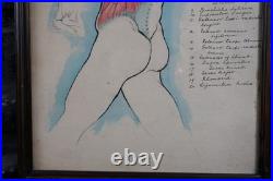 Antique Watercolour Anatomical Drawings Rare Early Works by Percy Horton 1914