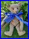 Antique_charming_Early_1900s_10_Rare_Steiff_Metal_Button_Jointed_Teddy_Bear_01_aq