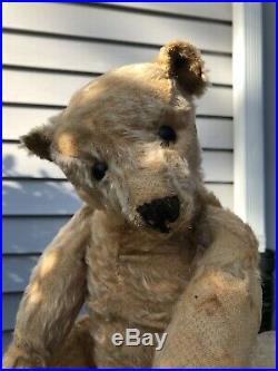 Archie RARE and Well Loved Early Antique 5 Claw Apricot Steiff Bear