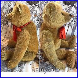 Baxter Early RARE SIGNED 1900's Steiff C1908 Teddy Bear Antique Old FF BUTTON