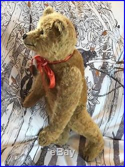 Baxter Early RARE SIGNED 1900's Steiff C1908 Teddy Bear Antique Old FF BUTTON