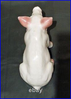 Butchers Point of Sale Very Rare Ceramic Piglet, 1940's Shop Advertising