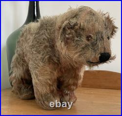 Charming Rare Early 20th Century Antique Pre War Mohair Teddy Bear on All Fours