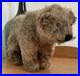 Charming_Rare_Early_20th_Century_Antique_Pre_War_Mohair_Teddy_Bear_on_All_Fours_01_qvc