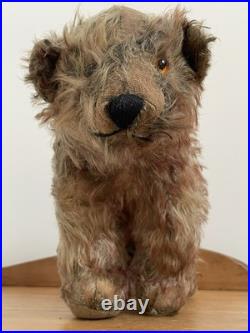Charming Rare Early 20th Century Antique Pre War Mohair Teddy Bear on All Fours