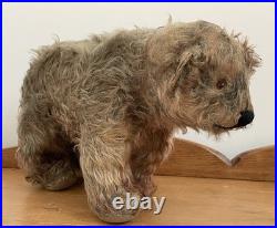 Charming Rare Early 20th Century Antique Pre War Mohair Teddy Bear on All Fours