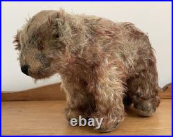 Charming Rare Early 20th Century Antique Pre War Mohair Teddy Bear on All Fours