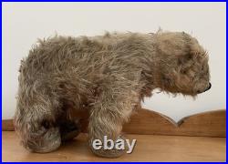 Charming Rare Early 20th Century Antique Pre War Mohair Teddy Bear on All Fours