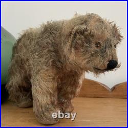 Charming Rare Early 20th Century Antique Pre War Mohair Teddy Bear on All Fours