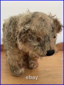 Charming Rare Early 20th Century Antique Pre War Mohair Teddy Bear on All Fours