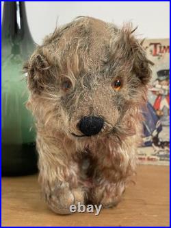 Charming Rare Early 20th Century Antique Pre War Mohair Teddy Bear on All Fours