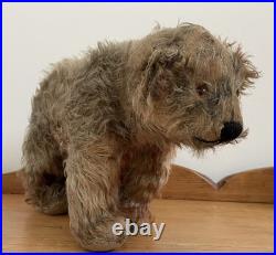 Charming Rare Early 20th Century Antique Pre War Mohair Teddy Bear on All Fours