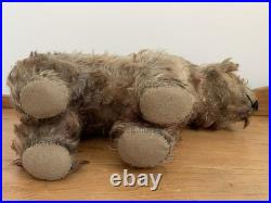Charming Rare Early 20th Century Antique Pre War Mohair Teddy Bear on All Fours