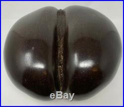 Coco De Mer Perfect Shape Seychelles Very Rare Early Example Beautifully Formed
