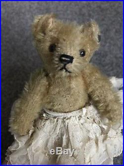 EARLY RARE ANTIQUE Circa 1910 STEIFF MINIATURE TEDDY BEAR 5 FF Button Buy Now