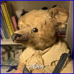 Early 1911 Steiff Bear Very Long Muzzle and Arms Shoe Button Eyes Dressed Rare