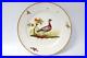 Early_Antique_Coalport_Plate_Rare_Breed_Duck_Bird_Hand_Painted_Circa_1802_01_pp
