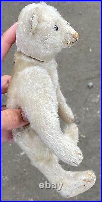 Early Antique Miniature Steiff 1905 Jointed 9 1/2White Bear With Button Rare Bear