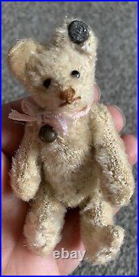Early Rare Antique 3.5 Steiff Miniature Mini Mohair Teddy Bear White Ff Button