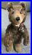 Early_Rare_Antique_7_Mohair_Teddy_Baby_Bear_WithBell_Chest_Tag_Long_F_Button_NR_01_buiz