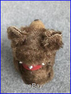 Early Rare Antique 7 Mohair Teddy Baby Bear WithBell Chest Tag & Long F Button NR