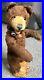 Early_Rare_Antique_9inch_Mohair_Brown_Teddy_Baby_Bear_No_ID_WithBell_Buy_Now_NR_01_enu