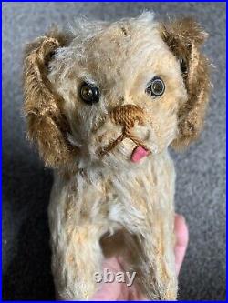 Early Rare Antique Vintage Mohair Schuco Yes No Straw Filled Dog 7 Jewel Eyes