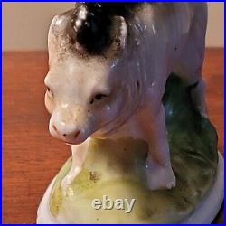 Early Rare Staffordshire Figure Of Boar