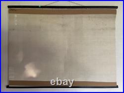 Early Rare vintage ANTS & TERMITES school chart lithograph educational ANTIQUE