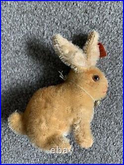 Early Steiff Old Long F Ff Button & Red Tag 2309 Super Rare Antique Rabbit