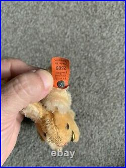 Early Steiff Old Long F Ff Button & Red Tag 2309 Super Rare Antique Rabbit