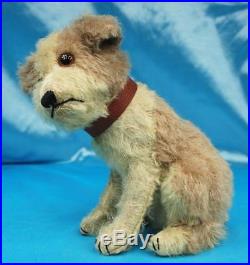 Extremely RARE early STEIFF Molly Dog. C 1925.10 inches