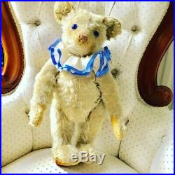 Extremely Rare antique steiff teddy Petsy bear early 1920s 22