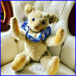 Extremely Rare antique steiff teddy Petsy bear early 1920s 22