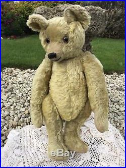 Gracie FURRY Rare Early English 1910/20s OMEGA Teddy Bear Hump Old Antique