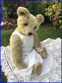 Gracie FURRY Rare Early English 1910/20s OMEGA Teddy Bear Hump Old Antique