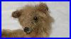How_I_Made_A_Mistake_Thought_I_Purchased_A_Rare_Antique_Mohair_Steiff_Teddy_Bear_01_yof