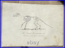 Lot of 10 very rare original antique prints London 1827 Fossils Dinosaur Lot of 10 very rare original antique prints London 1827 Fossils Dinosaur
