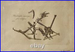 Lot of 10 very rare original antique prints London 1827 Fossils Dinosaur Lot of 10 very rare original antique prints London 1827 Fossils Dinosaur
