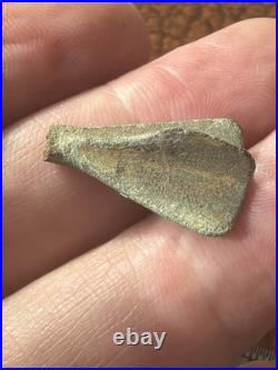 Lovely Early Roman Bronze Rare Fly Fibula Brooch. Please read description LA111i