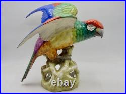 MAGNIFICENT RARE Copeland Spode Huge PARROT Figure 10.5 Inches 27cm