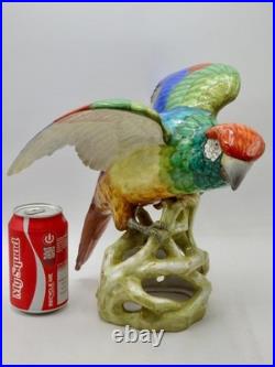 MAGNIFICENT RARE Copeland Spode Huge PARROT Figure 10.5 Inches 27cm