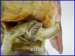 MAGNIFICENT RARE Copeland Spode Huge PARROT Figure 10.5 Inches 27cm