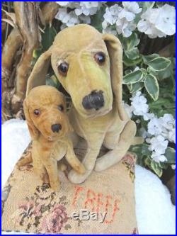 Mega Rare Early Velvet Steiff Treff Bloodhounds Adorable