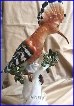 Meissen Hoopoe Porcelain Bird on Stump Rare large 282